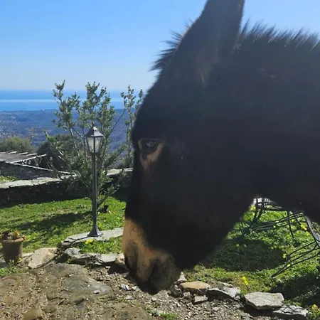 Domaine Colonna Santini ,chambre D Hotes Piscine,