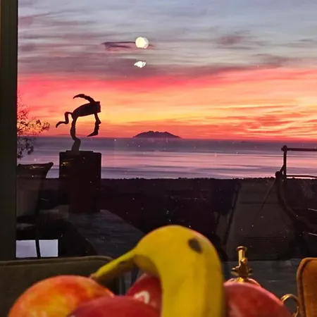 فندق مبيت وإفطار Domaine Colonna Santini ,chambre D Hotes Piscine, Sauna,