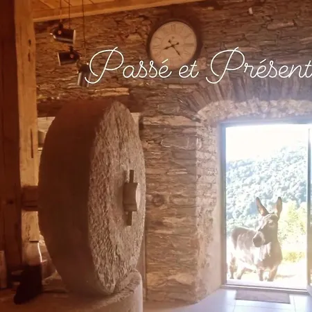 Panzió Domaine Colonna Santini ,chambre D Hotes Piscine, Porri