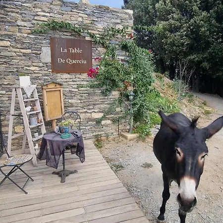 Domaine Colonna Santini ,chambre D Hôtes Piscine, Sauna,