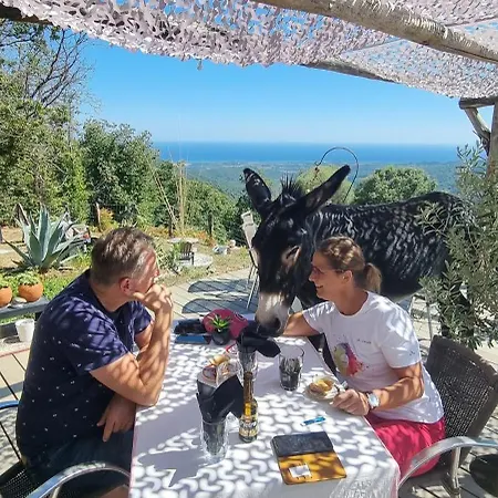 Domaine Colonna Santini ,chambre D Hotes Piscine, Panzió