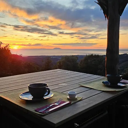 Bed & Breakfast Domaine Colonna Santini ,chambre D Hotes Piscine,