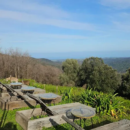 Domaine Colonna Santini ,chambre D Hotes Piscine, Sauna, 4* Porri