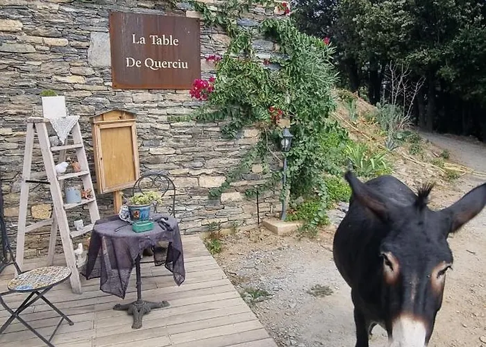 Domaine Colonna Santini ,chambre D Hotes Piscine,