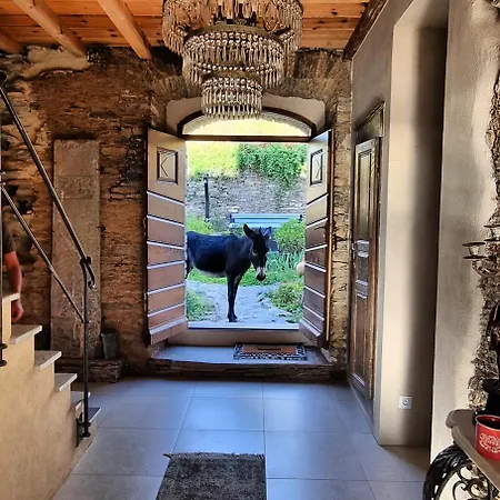Domaine Colonna Santini ,chambre D Hotes Piscine, Porri