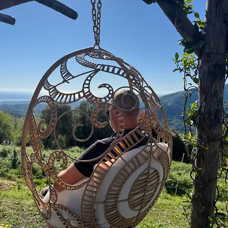 Domaine Colonna Santini ,chambre D Hotes Piscine, Porri