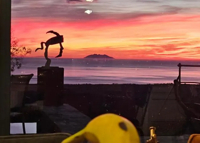 Bed & Breakfast Domaine Colonna Santini ,chambre D Hotes Piscine,