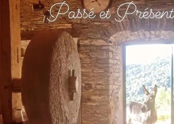 Bed & Breakfast Domaine Colonna Santini ,chambre D Hotes Piscine, Porri