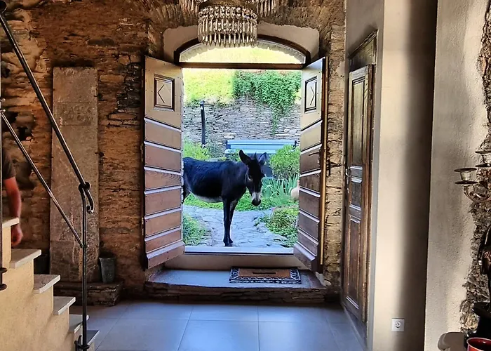 Domaine Colonna Santini ,chambre D Hotes Piscine, Porri