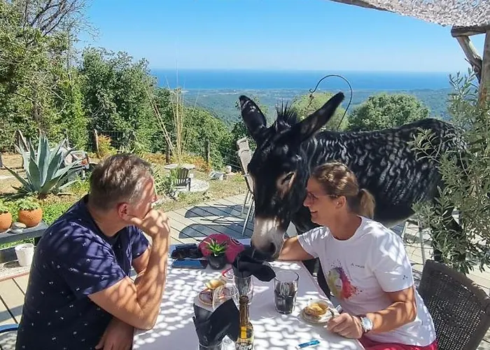 Domaine Colonna Santini ,chambre D Hotes Piscine, Bed & Breakfast