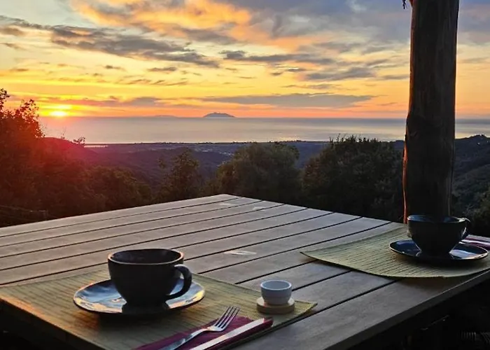 Bed & Breakfast Domaine Colonna Santini ,chambre D Hotes Piscine,